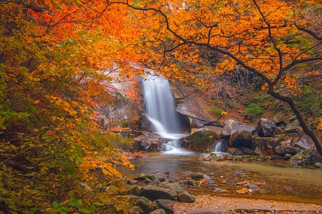 Pristine mountain stream flowing through a green forest valley with clear water over smooth rocks